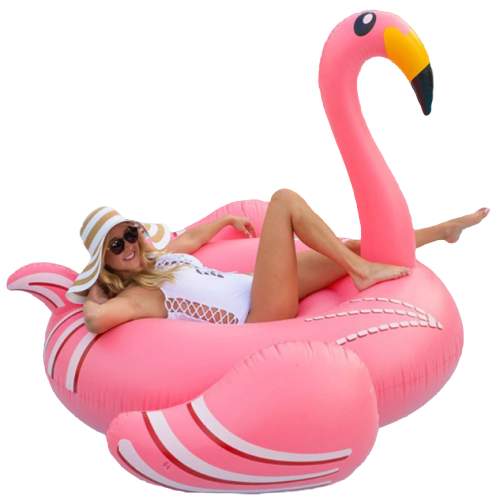 bouee flamant rose xxl pas chere