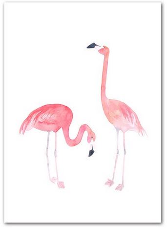 Cadre avec Flamant Rose