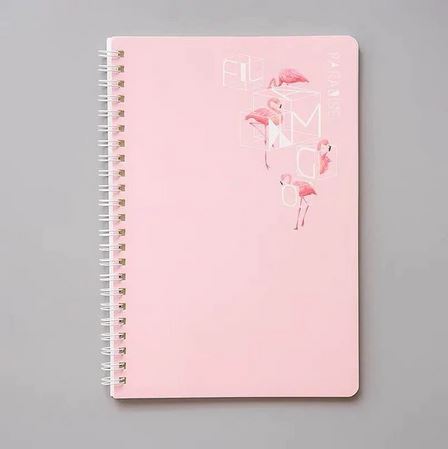 cahier flamant rose