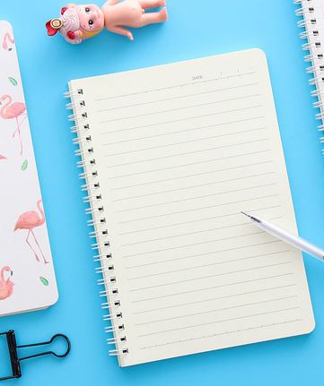 Cahier Flamant Rose
