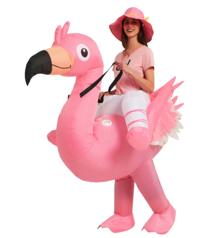 deguisement en forme de flamand rose