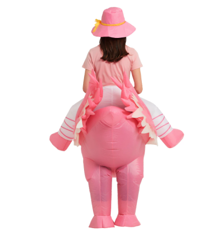 deguisement flamingo