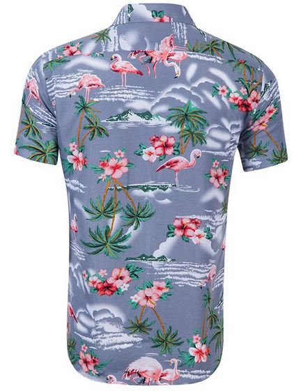 Chemise Flamant Rose Homme h&m