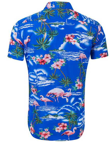 Chemise Flamant Rose Homme Zara