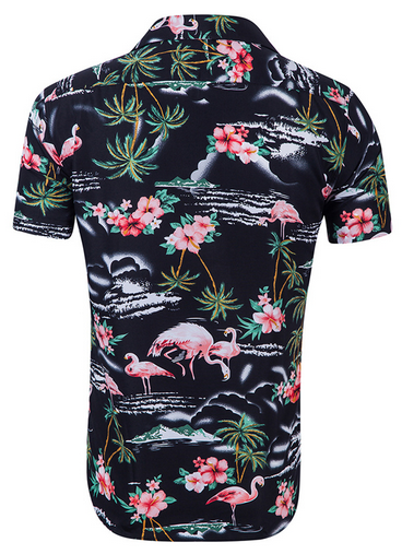 Chemise Flamant Rose Homme Noir coton