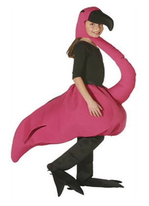 deguisement flamant rose pour enfant