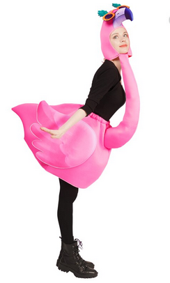 deguisement flamant rose pas cher