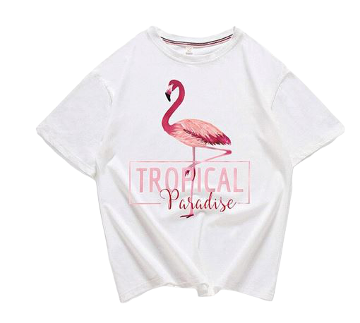 Crop Top T-shirt Flamant Rose Femme Blanc Royaume Flamant Rose