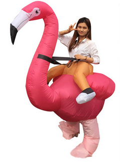 flamant rose en deguisement gonflable