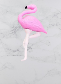 gomme flamant rose