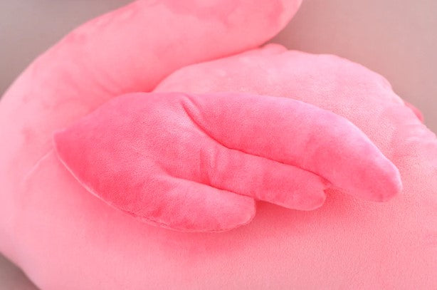 ailes de flamant rose en peluche extra douce