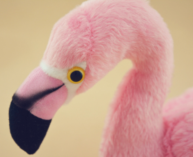 peluche flamant rose petite