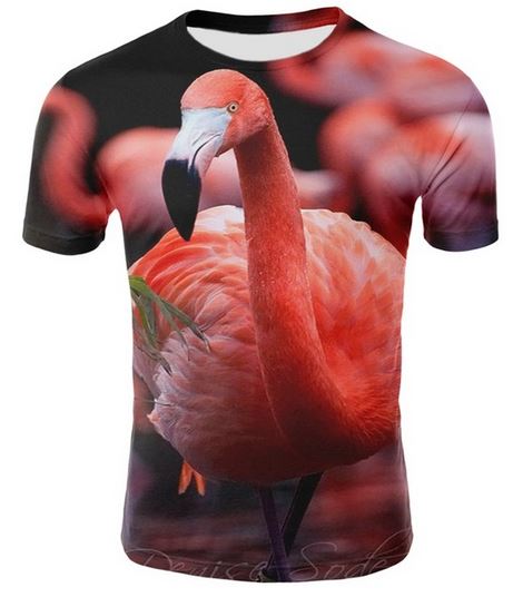photo de flamant rose sur t-shirt pour homme