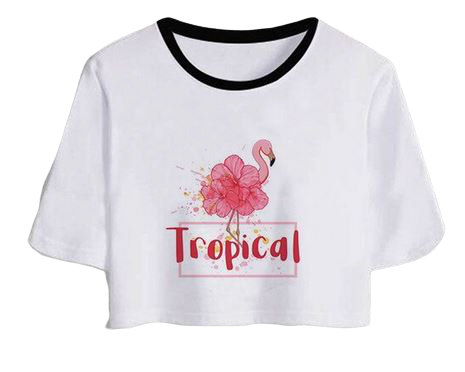 t-shirt crop top flamant rose tropical fleurs