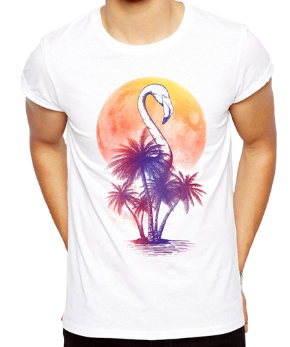t-shirt homme flamant rose pas cher