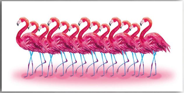 Tableau Flamant Rose Équipe