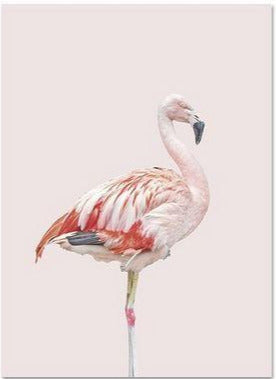Tableau avec Flamant Rose