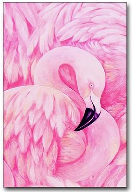 Tableau de Flamant Rose Ubac