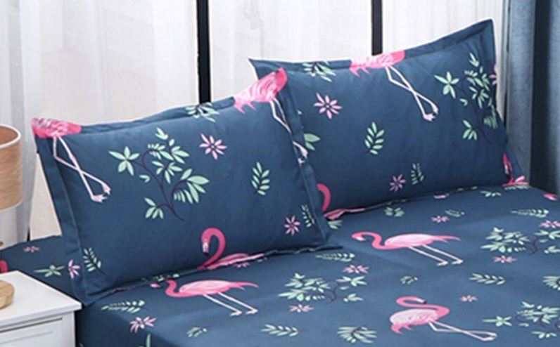 taies d'oreillers flamant rose