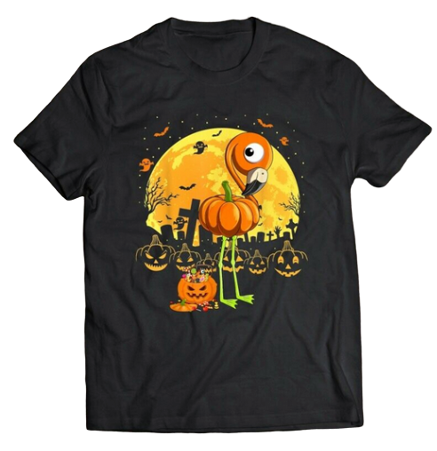 tee shirt flamant rose homme