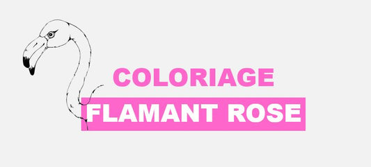 coloriage flamant rose a imprimer