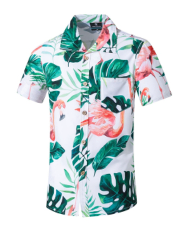chemise homme blanche flamant rose
