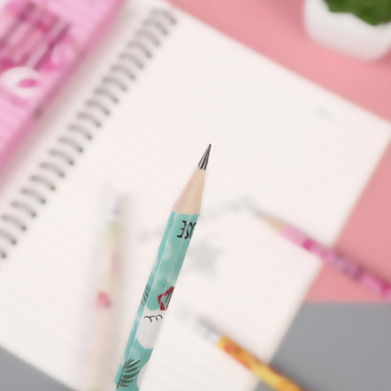 Crayon Flamant Rose Blanc