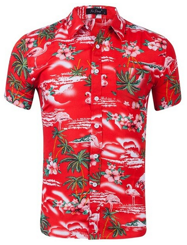 Chemise Flamant Rose Homme Rouge