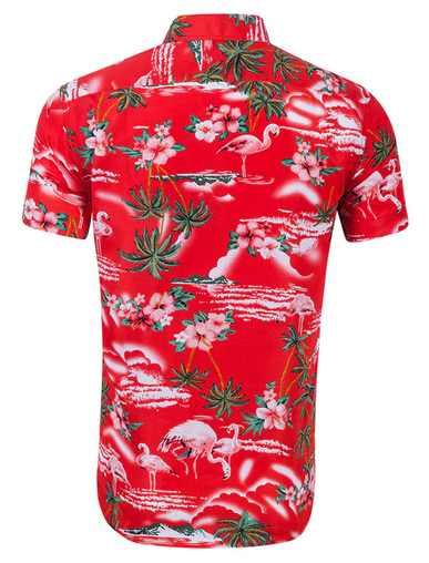 Chemise Flamant Rose Homme Rouge jules