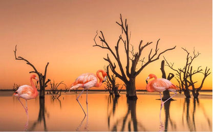 Papier Peint Panoramique Flamant Rose Lac realiste