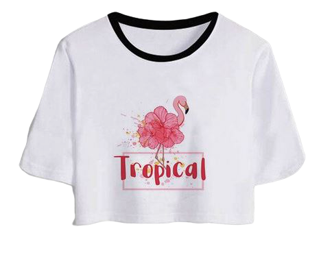 t-shirt crop top flamant rose tropical fleurs 